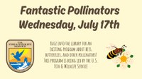 Fantastic Pollinators
