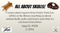 Potter Park Presents: All about skulls!